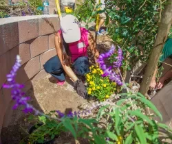 Healing Garden for The Shade Tree from 2014 IMEX America