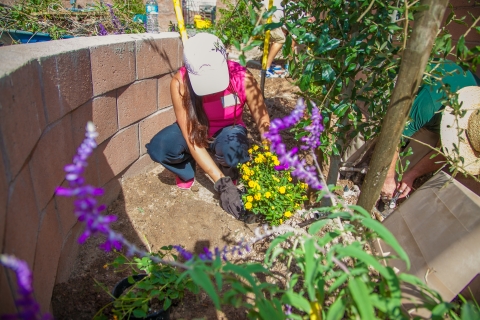 Healing Garden for The Shade Tree from 2014 IMEX America